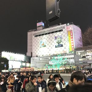 那覇市渡嘉敷唯夫税理士事務所｜渋谷